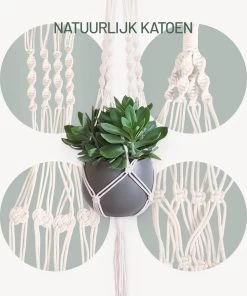 Gadgy Plantenhanger Macramé 3 Stuks - Luxe Gevlochten Touw Katoen - Plantenpot Ophangen - Hangpot -Gardena Winkel 1000x1200 11