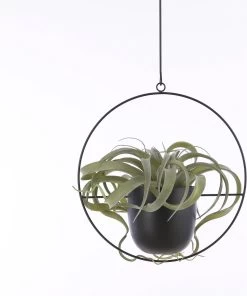 Mica Decorations Dexter Bloempot Hangend - L34 X B14 X H65 Cm - Zwart 12 Mica Decorations Dexter Bloempot Hangend - L34 X B14 X H65 Cm - Zwart -Gardena Winkel 1002x1200 4