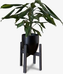 Plantenstandaard Binnen - Diameter Tot 24 Cm - Plantenkruk - Bloempotten Voor Binnen - Plantentafeltje Voor Binnen - Bloempot Standaard | Plantenstandaard - Hout - Mat Zwart