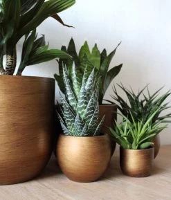 Capi Europe - Bloempot Bol Retro XL - 42x41 - Goud - Bloempot Voor Binnen - Opening ⌀36 - RTG933 -Gardena Winkel 1024x1200 5