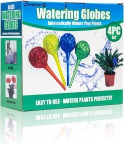 Merkloos Decopatent® 4 Stuks - Waterdruppelaar Voor Planten - Watergever - Glas - Waterbollen - Watergeefsysteem - Plantenbollen - Groen 12 Merkloos Decopatent® 4 Stuks - Waterdruppelaar Voor Planten - Watergever - Glas - Waterbollen - Watergeefsysteem - Plantenbollen - Groen -Gardena Winkel 1029x1200 5