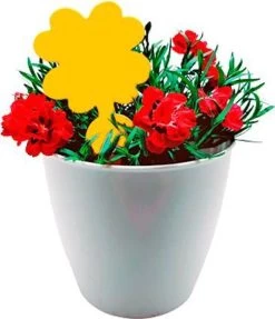 Plak Klavertjes Tegen Rouwvliegjes 48 Stuks - Rouwvliegjes Bestrijden - Varenrouwmug - Plakstrips - Vangkaarten - Vangplaten - Insectenval - Insectenvanger -Gardena Winkel 1031x1200 4