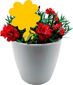 Plak Klavertjes Tegen Rouwvliegjes 15 Stuks - Rouwvliegjes Bestrijden - Varenrouwmug - Plakstrips - Vangkaarten - Vangplaten - Insectenval - Insectenvanger -Gardena Winkel 1032x1200 1