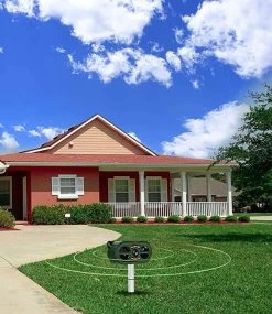 Steks® Kattenverjager 2023 Model - Kattenschrik - Katten Afweermiddel - Op Zonneenergie - Marterverjager - Op Batterijen - Met Adapter - Tuin - Ongedierte Verjager -Gardena Winkel 1040x1200 7