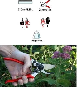 Felco 2 + GRATIS Felco Handschoenen In Cadeauverpakking -Gardena Winkel 1056x1200 2