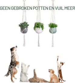 Gadgy Plantenhanger Macramé 3 Stuks - Luxe Gevlochten Touw Katoen - Plantenpot Ophangen - Hangpot -Gardena Winkel 1080x1200 5