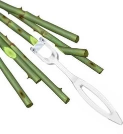 Bloemensnijder Groen/rood/transparant -Gardena Winkel 1102x1200