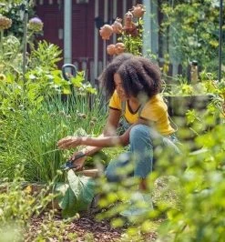 GARDENA - ExpertCut - Snoeischaar - 22 Diameter Tak -Gardena Winkel 1116x1200 1