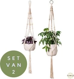 Plantenhanger - Plantenhanger Macrame - Set Van 2 - Wit - Knopen - Luxe Gevlochten Touw - Met Ophang Haken - Fienosa -Gardena Winkel 1118x1200 6