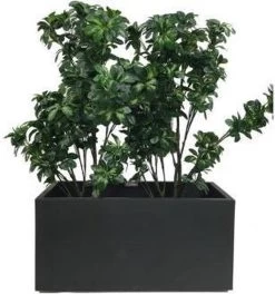 Elho Vivo Matt Finish Lang Wielen 90 - Grote Staande Plantenbak Voor Binnen & Buiten - Gemaakt Van Gereycled Plastic - L 39 X W 88 X H 41 Cm - Zwart -Gardena Winkel 1124x1200 4