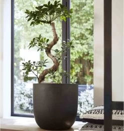 Capi Europe - Bloempot Bol Smooth NL - 43x41 - Zwart - Voor Binnen En Buiten - KBL933 -Gardena Winkel 1132x1200 11