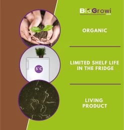 Stenema 100m² | Aaltjes Tegen Rouwvliegjes | Tegen Larven Van Rouwvliegen | Rouwvliegjes Bestrijden | Varenrouwmuggen | In Planten | 100% Natuurlijke Biologische Bestrijding -Gardena Winkel 1138x1200 13