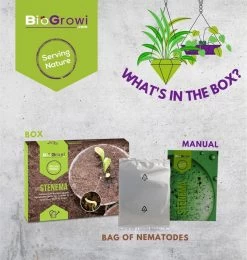 Stenema 100m² | Aaltjes Tegen Rouwvliegjes | Tegen Larven Van Rouwvliegen | Rouwvliegjes Bestrijden | Varenrouwmuggen | In Planten | 100% Natuurlijke Biologische Bestrijding -Gardena Winkel 1138x1200 14