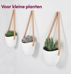 Gadgy Plantenhanger Keramiek - Set Van 3 - Hangpot Van Wit Steen - Hangende Bloempot Plantenpot - Met 3 Verschillende Koorden - 12x11x9.5CM -Gardena Winkel 1149x1200 7