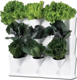 Minigarden Vertical Verticale Tuin - Wit -Gardena Winkel 1157x1200 5