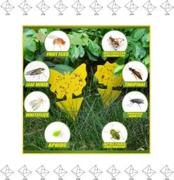 Merkloos EPIN | Vliegenstrippen | Fruitvliegjes | Vliegenvanger | Rouwvliegjes Bestrijden | 10 Stuks