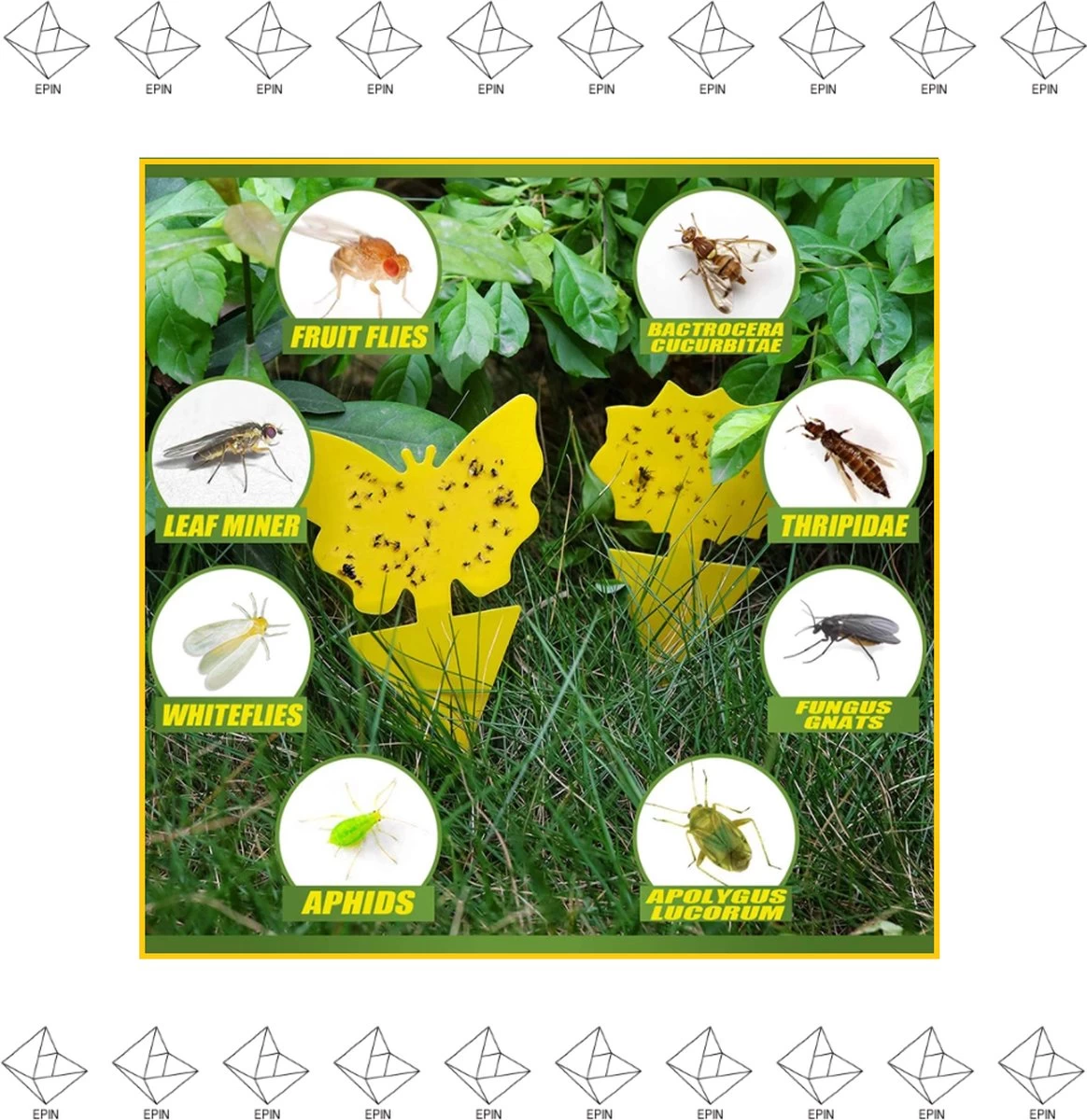 Merkloos EPIN | Vliegenstrippen | Fruitvliegjes | Vliegenvanger | Rouwvliegjes Bestrijden | 10 Stuks 1 Merkloos EPIN | Vliegenstrippen | Fruitvliegjes | Vliegenvanger | Rouwvliegjes Bestrijden | 10 Stuks