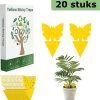 Merkloos Rouwvliegjes Bestrijden - Fruitvliegjes - Vliegenvanger - Plakplaatjes - 20 Stuks