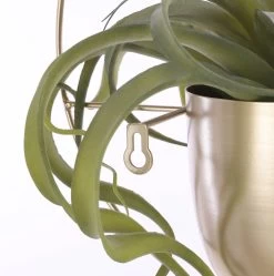 Mica Decorations Dexter Bloempot Wand - L34 X B14 X H34 Cm - Goud 8 Mica Decorations Dexter Bloempot Wand - L34 X B14 X H34 Cm - Goud -Gardena Winkel 1189x1200 12