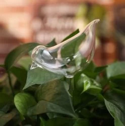 Waterdruppelaar Planten - Vorm Vogel - Set Van 3 Kunststof Druppelaars - 25cm Lengte - Genoeg Water Tijdens Je Vakantie -Gardena Winkel 1190x1200 4