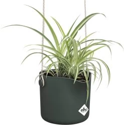 Elho B.for Swing 18 Hangpot - Bloempot Voor Binnen - Ø 18.0 X H 16.5 Cm - Groen/Blad Groen -Gardena Winkel 1193x1200 11