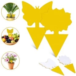 Merkloos Rouwvliegjes Bestrijden - Fruitvliegjes Vanger - Vliegenvanger - 24 Stuks -Gardena Winkel 1194x1200 18