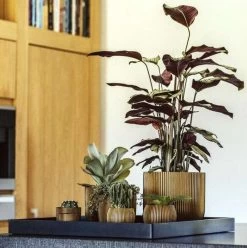 Capi Europe - Bloempot Bol Groove XL - 33x35 - Goud - Bloempot Voor Binnen - Opening ⌀28 - GVGB932 -Gardena Winkel 1195x1200 13