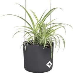 Elho B.for Swing 18 Hangpot - Bloempot Voor Binnen - Ø 18.0 X H 16.5 Cm - Zwart/Antraciet -Gardena Winkel 1195x1200 15