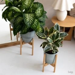 Gadgy Bamboe Plantenstandaard 2 St - Plantentafel - Plantentafeltje Voor Binnen - Plantenrek - Uitschuifbaar - Hout - Ø 20 Tot 30 Cm -Gardena Winkel 1197x1200 18