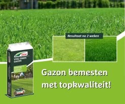 DCM Vital-Green Gazon - Gazonmest - Gazonmeststof Met MINIGRAN® Technology - 75m2 - 3 Kg 5 DCM Vital-Green Gazon - Gazonmest - Gazonmeststof Met MINIGRAN® Technology - 75m2 - 3 Kg -Gardena Winkel 1200x1000 5
