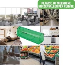 Forgoods Muizenval - Diervriendelijke Muizenvallen Voor Binnen En Buiten - 2 Stuks - Met Schoonmaakborstel - Model 2023 -Gardena Winkel 1200x1037 2