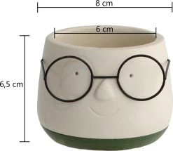 2x Bloempot Met Gezicht - Ø8 X H6,5 Cm - Bloempotten Voor Binnen Met Bril/Face/Hoofd -Gardena Winkel 1200x1045 2