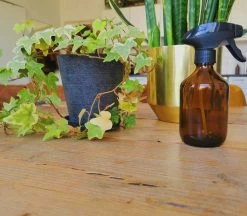 24DOTS Living Plantenspuit | 300 Ml Bruin Amber Glas | Plantensproeier | Plantenspuit Binnen | Waterverstuiver | Vernevelaar -Gardena Winkel 1200x1051 1