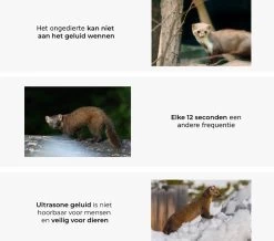 All-in-1 Marterverjager Pakket - Bescherm Je Auto, Woning Of Camper Tegen Steenmarters, Marters, Muizen En Ongedierte - RV Solutions® -Gardena Winkel 1200x1059 4