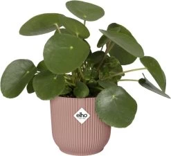 Elho Vibes Fold Rond Wielen 35 - Bloempot Voor Binnen - Ø 34.9 X H 32.4 Cm - Delicaat Roze -Gardena Winkel 1200x1093 5