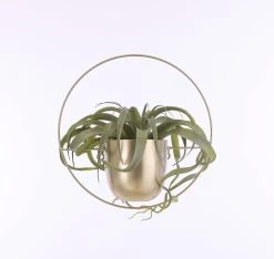 Mica Decorations Dexter Bloempot Wand - L34 X B14 X H34 Cm - Goud 10 Mica Decorations Dexter Bloempot Wand - L34 X B14 X H34 Cm - Goud -Gardena Winkel 1200x1137 4