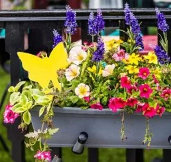 Merkloos Rouwvliegjes Bestrijden - Fruitvliegjes - Vliegenvanger - Plakplaatjes - 20 Stuks -Gardena Winkel 1200x1137 7