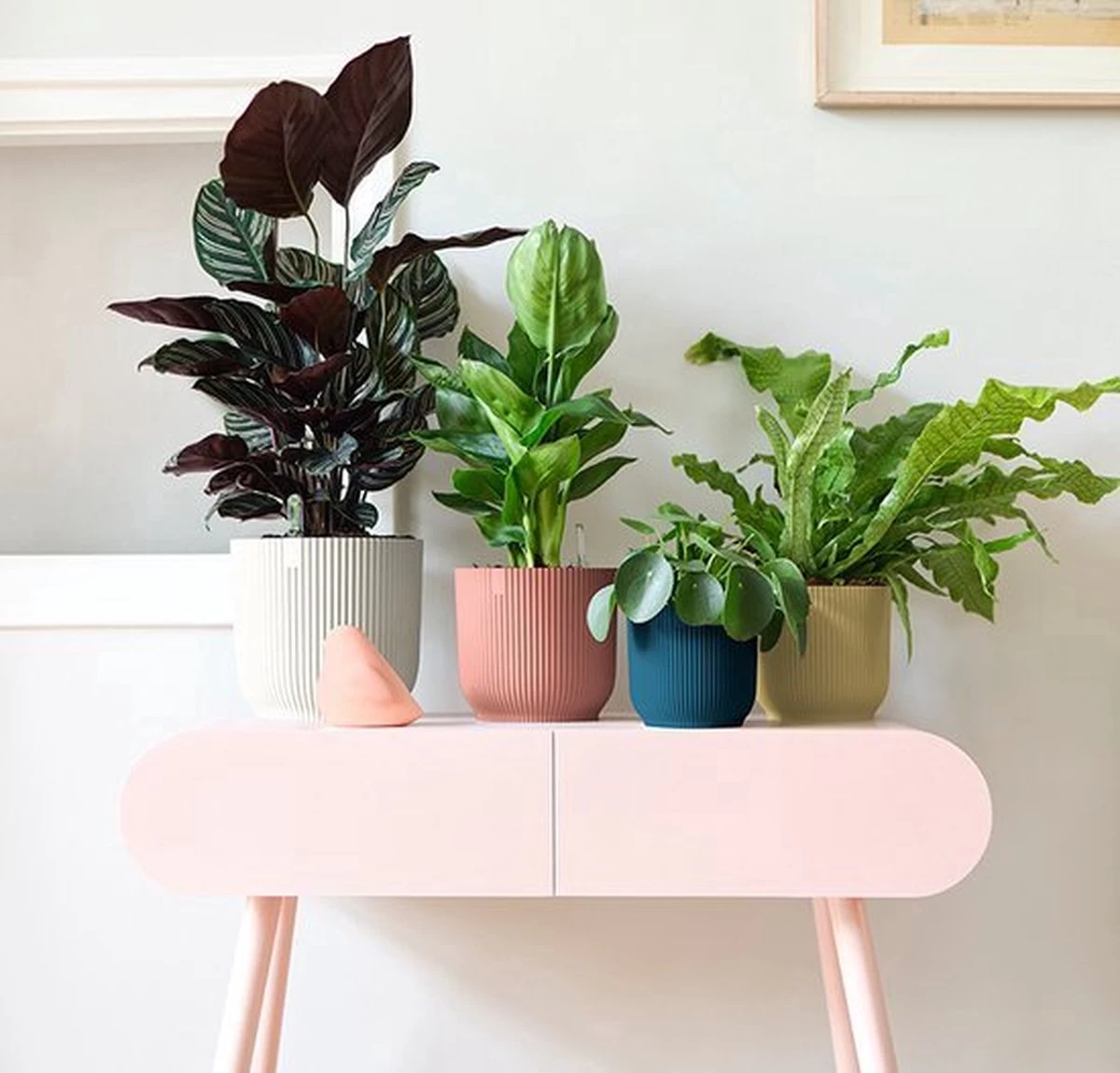 Elho Vibes Fold Rond 30 - Bloempot Voor Binnen - Ø 29.5 X H 27.2 Cm - Delicaat Roze 7 Elho Vibes Fold Rond 30 - Bloempot Voor Binnen - Ø 29.5 X H 27.2 Cm - Delicaat Roze - Afbeelding 7