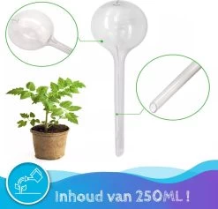 Summer Spark Waterdruppelaar Voor Planten 6 Stuks Transparant – 27 CM X 8 CM – 250 ML – Automatisch Watergeefsysteem Voor Kamerplanten – Planten Watergever Met Druppelsysteem – Waterbol 8 Summer Spark Waterdruppelaar Voor Planten 6 Stuks Transparant – 27 CM X 8 CM – 250 ML – Automatisch Watergeefsysteem Voor Kamerplanten – Planten Watergever Met Druppelsysteem – Waterbol -Gardena Winkel 1200x1153 5