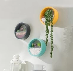Ronde Muur Plantenbak Zwart - Decoratie - Planten - Interieur - Bloemen - Woondecoratie - Muurbekleding - -Gardena Winkel 1200x1167 6