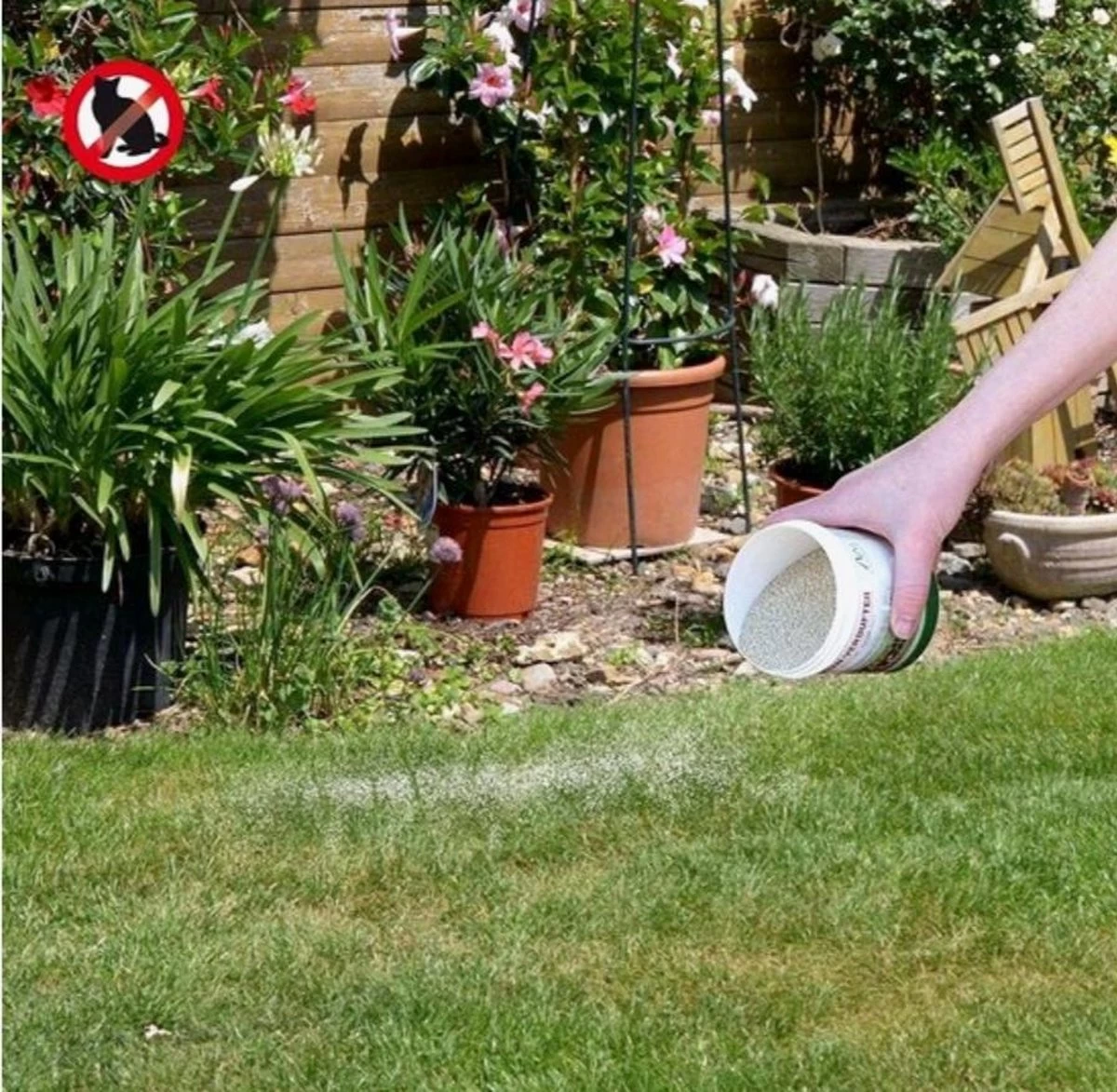 Kattenschrik Natuurlijk Afweermiddel Tegen Katten - 200 Gram| Weert Katten | Kattenoverlast | Anti Katten 2 Kattenschrik Natuurlijk Afweermiddel Tegen Katten - 200 Gram| Weert Katten | Kattenoverlast | Anti Katten - Afbeelding 2