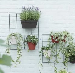 Elho Loft Urban Green Wall Rek 48 - Accessoires Voor Buiten - Ø 47.3 X H 59.0 Cm - Zwart/Living Black -Gardena Winkel 1200x1173 6