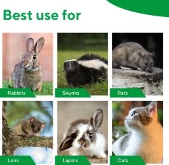 MaxxGarden Vangkooi Voor Dieren Van 60x18x20cm - Rattenval - Dubbele Ingang - Opvouwbaar -Gardena Winkel 1200x1177 20