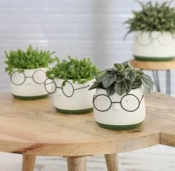 2x Bloempot Met Gezicht - Ø8 X H6,5 Cm - Bloempotten Voor Binnen Met Bril/Face/Hoofd -Gardena Winkel 1200x1178 14