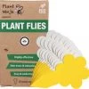 Plant Fly Ninja - Rouwvliegen En Plantvliegen - Insectenval Plakstrips - Planten - 1 Pack, 10 Stuks