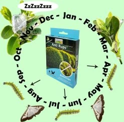 TOPBUXUS Anti Rups (voorheen XenTari) Tegen Buxusrups - Buxusmot - Voor 200 M² Buxus -Gardena Winkel 1200x1179 36