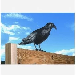 Orange85 Vogelverschrikker Vogelverjager Kraai 36,2 Cm Polyetheen -Gardena Winkel 1200x1180 12