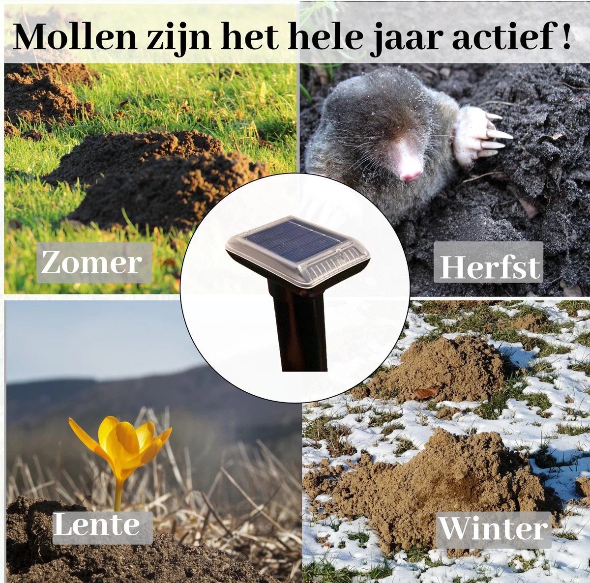 Sedeve Mollenverjager Op Zonne Energie –Mollenverjager – Muizenverjager – Ultrasone-verjager – Bereik Van 150 M2 - Set Van 2 Stuks 5 Sedeve Mollenverjager Op Zonne Energie –Mollenverjager – Muizenverjager – Ultrasone-verjager – Bereik Van 150 M2 - Set Van 2 Stuks - Afbeelding 5