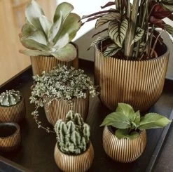 Capi Europe - Bloempot Bol Groove XL - 33x35 - Goud - Bloempot Voor Binnen - Opening ⌀28 - GVGB932 -Gardena Winkel 1200x1191 10