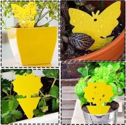 Rouwvliegjes Bestrijden - Fruitvliegjes Vanger - Varenrouwmug Bestrijden - Vangplaten 16 Rouwvliegjes Bestrijden - Fruitvliegjes Vanger - Varenrouwmug Bestrijden - Vangplaten -Gardena Winkel 1200x1194 11